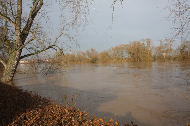 Hochwasser Seligenstadt 18.01.2011 003.JPG